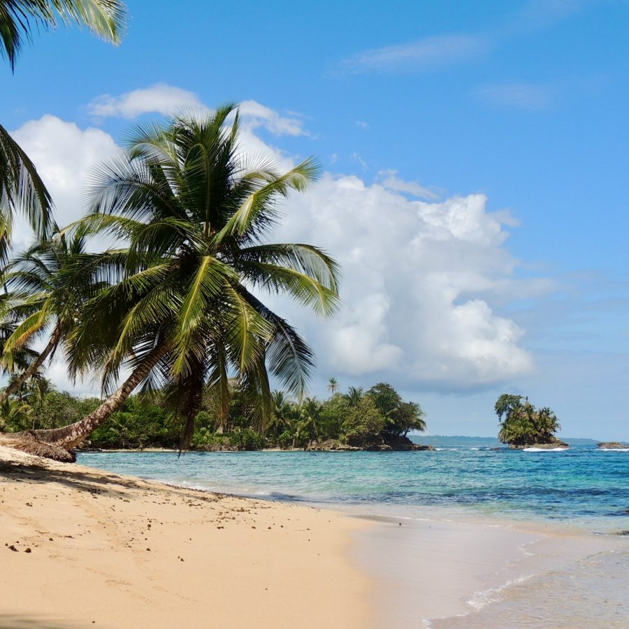 Palm Tree Beach Bocas del Toro